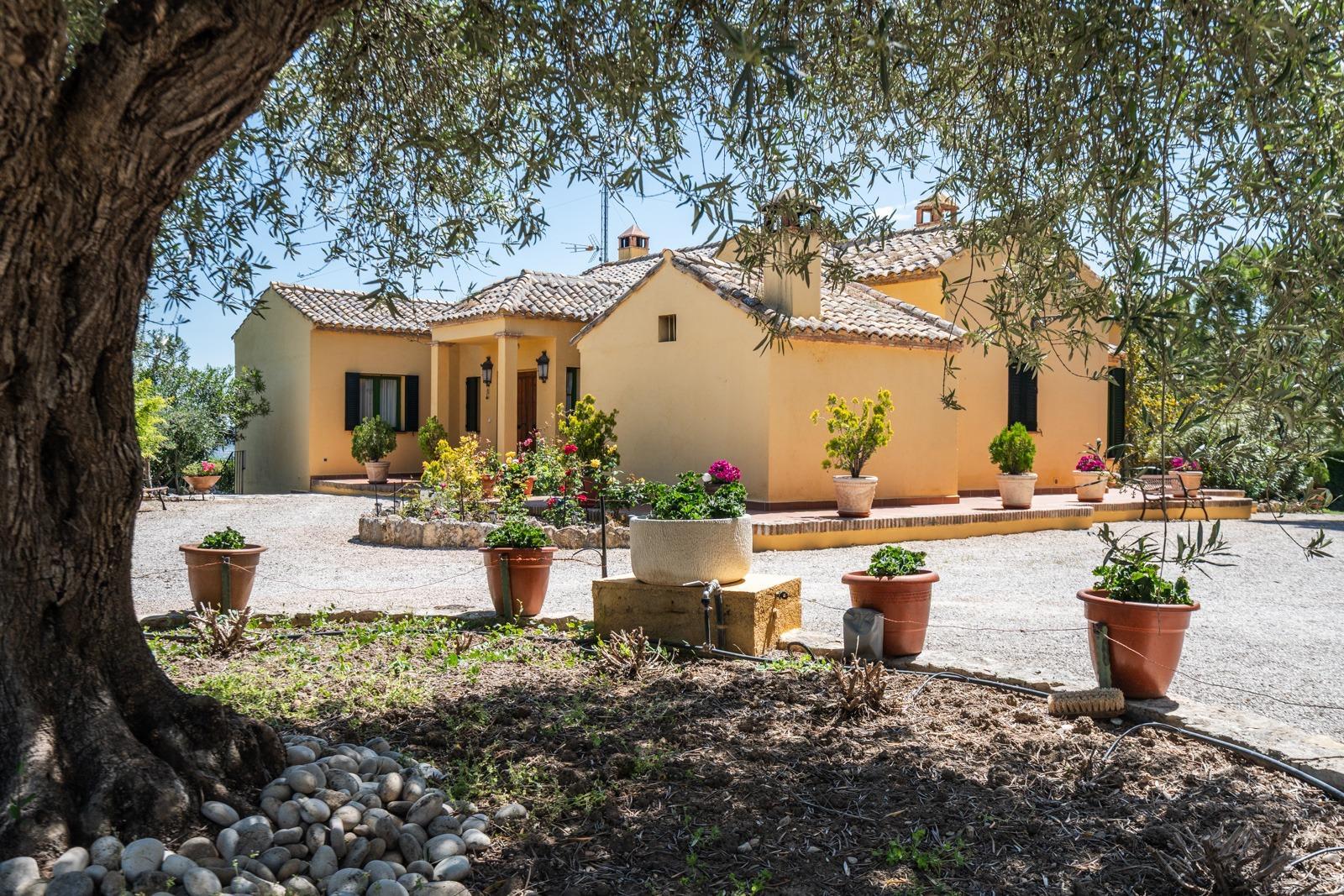 Finca rústica